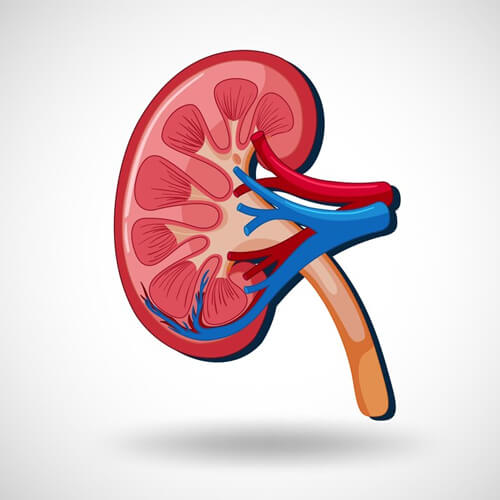 Urology at Healthplus Hospital